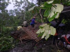 Hujan Lebat disertai Angin Kencang  membuat Pohon Tumbang dan  menimpa Rumah Warga