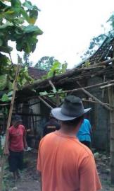 Rumah Bp. Suryadi Rusak Tertimpa Pohon